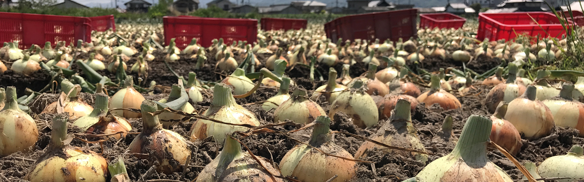 新年のごあいさつ