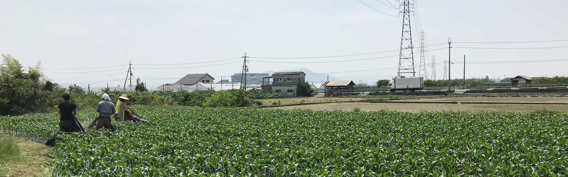 ふうの丘営業カレンダー