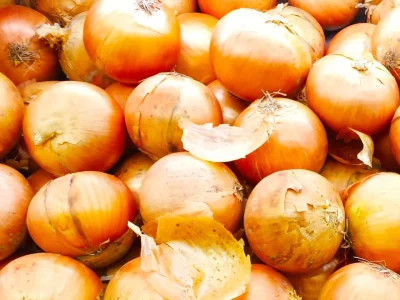 onion
